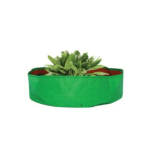 Spinach Grow Bag 12x6